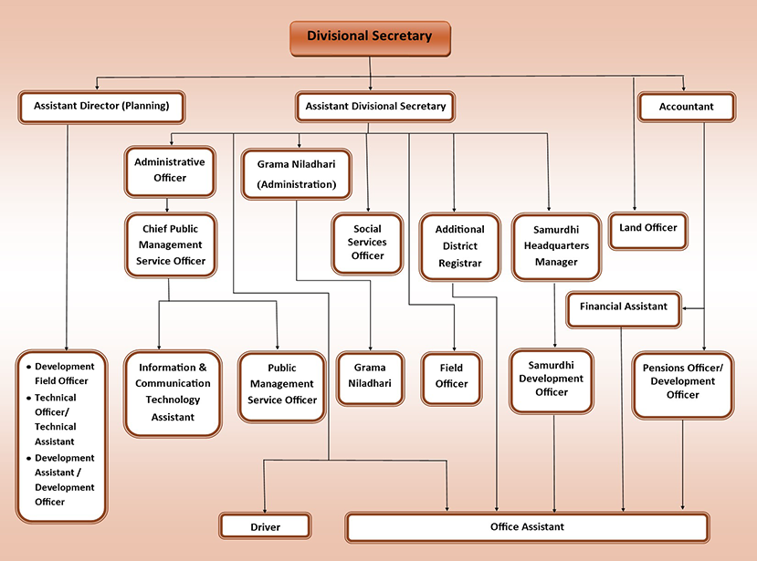 organization chart en
